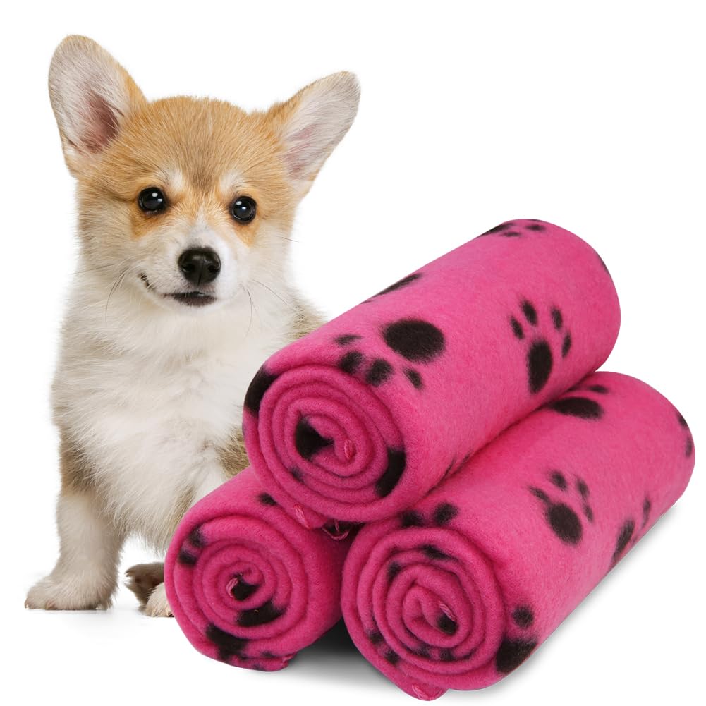 Boerni 3 Pack Pink Pet Blankets, Dog Cat Cushion, Soft Warm Fleece Girls Female Puppy Kittie Sleep Blanket Pad Bed Cover with Paw Print(60 x 70cm/23.6 x 27.6 inch)