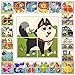 Quokka Wooden Blocks Puzzles for Babies and Toddlers 1 2 3 Year Olds | 24 Educational Images for Kids Ages 1-3 Crafted on Wood | Preschool Learning Toys for Boys and Girl | 16 Big Blocks for Games