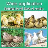 VandanCoop 1kg Chick Feeder & 1L Waterer Set Poultry Pigeon Coop Automatic view 8