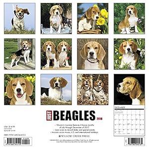 Just Beagles 2018 Calendar