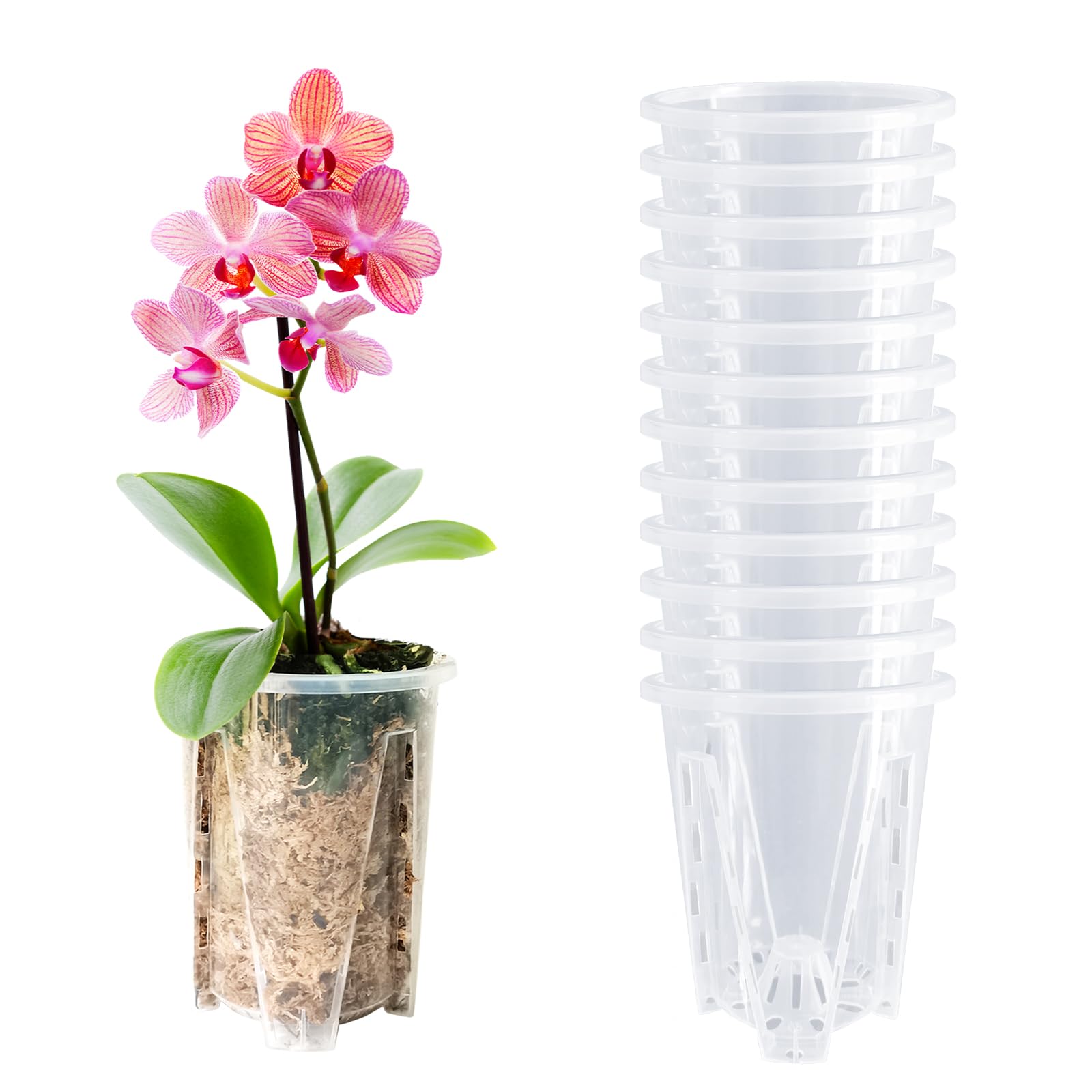 Photo 1 of pavtner Orchid Pot 12 Pack 3.9 Inch, Orchid Pots with Holes, Plastic Clear Orchid Pot for Repotting, Flower Plant Pot Indoor Outdoor