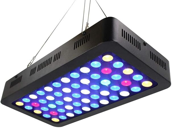 amazon com xxdmz luz de acuario led
