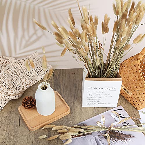 JOHOUSE 120PCS Natural Rabbit\'s Tail Grass, 16inch Dried Pampas Grass Eternal Flower Dried Grass for Wedding Home Decoration Flower Arrangements Photo Props, Primary Color