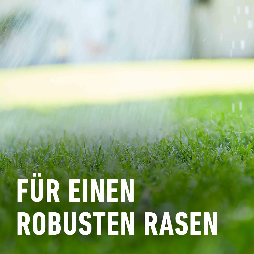 COMPO Rasendünger mit 3 Monaten Langzeitwirkung für Frühjahr und Sommer - tierfreundlich - Premium Rasen-Langzeitdünger - 20 kg für 800 m² - 20 kg für 800 m² 6