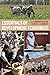 Essentials of Development Economics