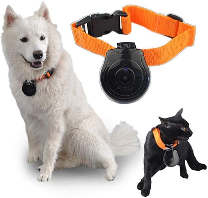 Waterproof Digital Pet Collar Cam Camera Mini Video