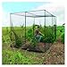 Gardman 7662 Fruit Cage Large, 118