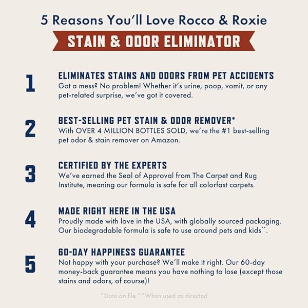 ROCCO & ROXIE SUPPLY CO. STAIN & STRONG ODOR ELIMINATOR, ENZYME CLEANER, PET ODOR ELIMINATOR FOR HOME – CARPET STAIN REMOVER FOR CATS & DOG PEE – URINE DESTROYER – CARPET CLEANER SPRAY CLEAR, 32 FL OZ