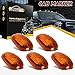 Partsam 5PCS Amber Top Roof Cab Marker Light 264146AM Light Amber Cover Lens with Base Housing Compatible with Dodge Ram 1500 2500 3500 4500 5500 2003-2018 Pickup Trucks