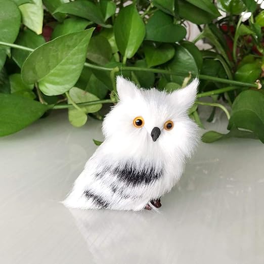 white owl pet