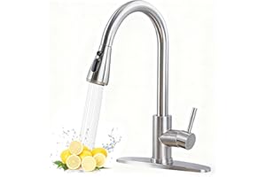 HOTIS HOME HOTIS Kitchen Faucet with Pull Down Sprayer, Brushed Nickel Stainless Steel High Arc Single Handle Sink Faucets with Deck Plate for 1 or 3 Hole, Suitable for Farmhouse Camper Laundry Rv Bar