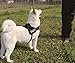 unho Dog Body Harness Padded Extra Big Large Medium Small Heavy Duty Vary from All Kinds of Size (L)