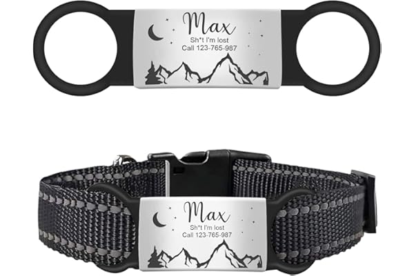 Amazon.ca Best Sellers: The most popular items in Dog ID Tags