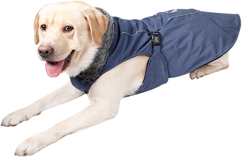 dog sweater with harness hole