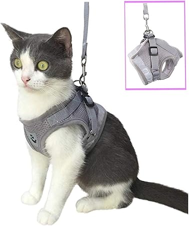 amazon cat harness and lead