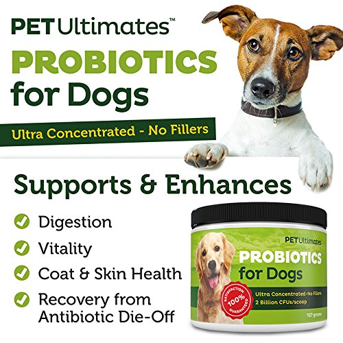 Pet Ultimates Probiotics for Dogs 22Species Dog Probiotics for Dog