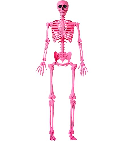 Amazon.com : JOYIN 5.6 FT Halloween Posable Skeleton Life Size