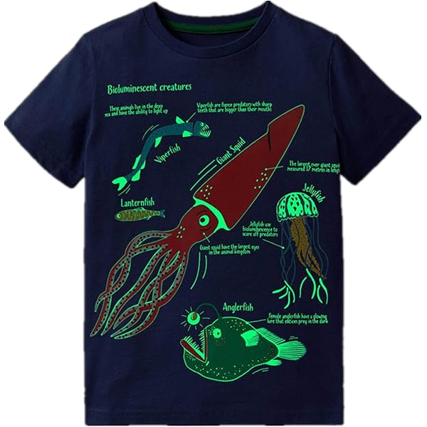 Camiseta De Algodón De 11 Color Para Niños Y Niñas, Ropa De Cuello