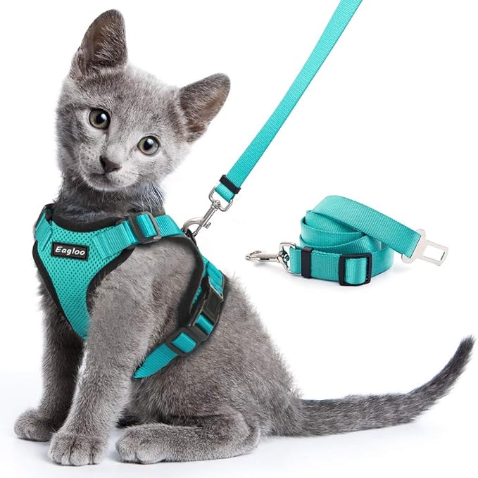 best cat harness and leash