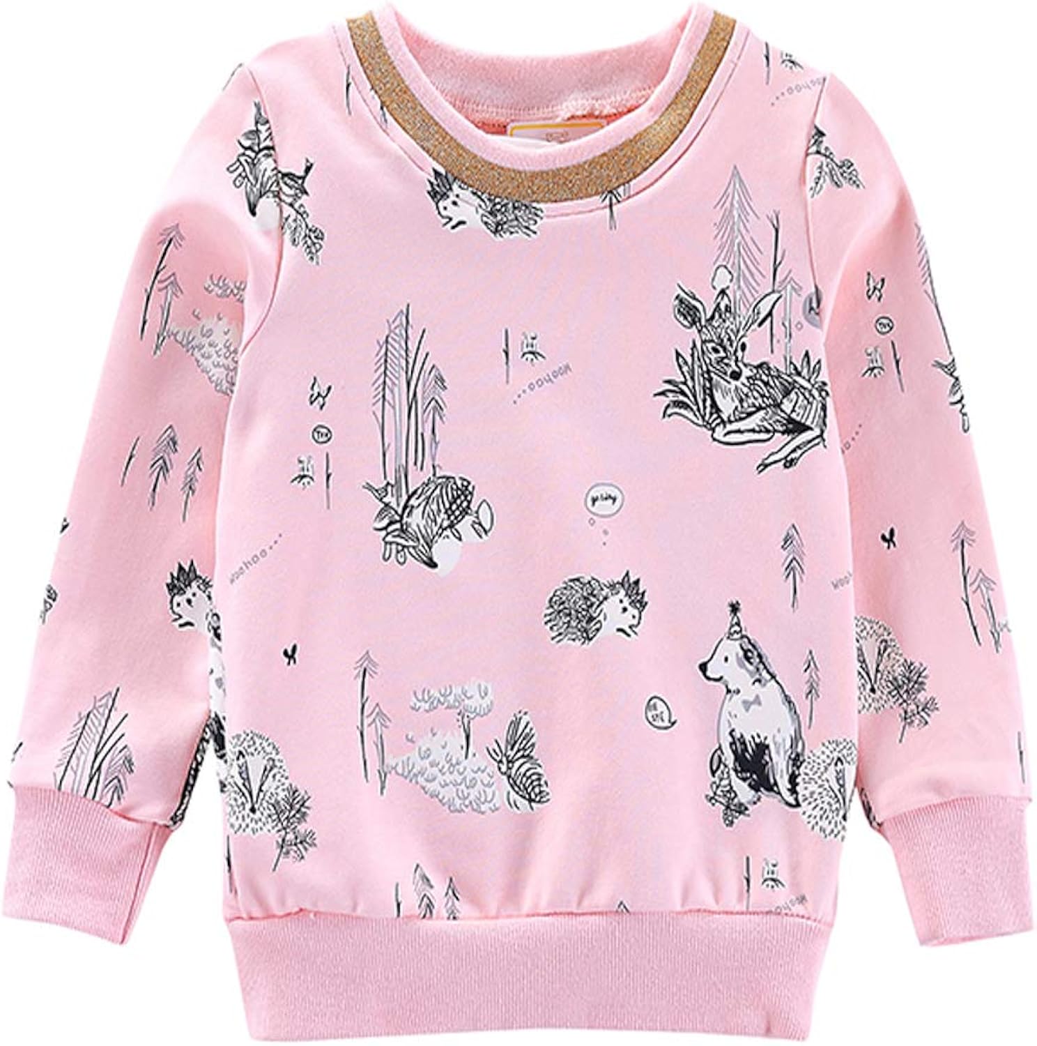 BIBNice Girls Long Sleeve Shirts Kids Cotton Fall Top Crewneck Clothes 2-7T: Clothing