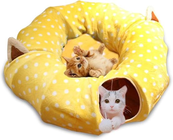 cat play tunnels