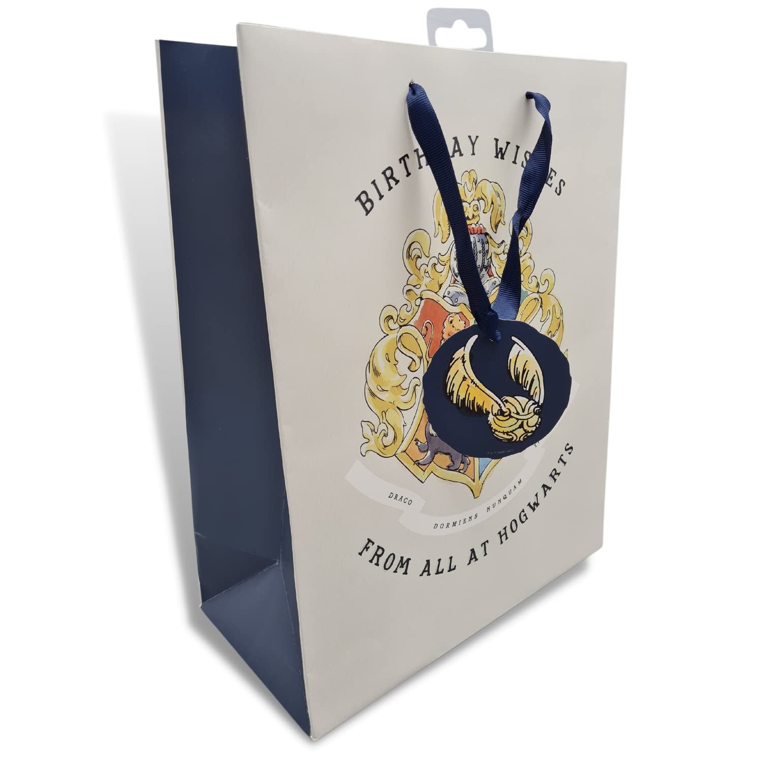 Harry Potter Large Gift Bag for Birthday Presents, Officially Licensed