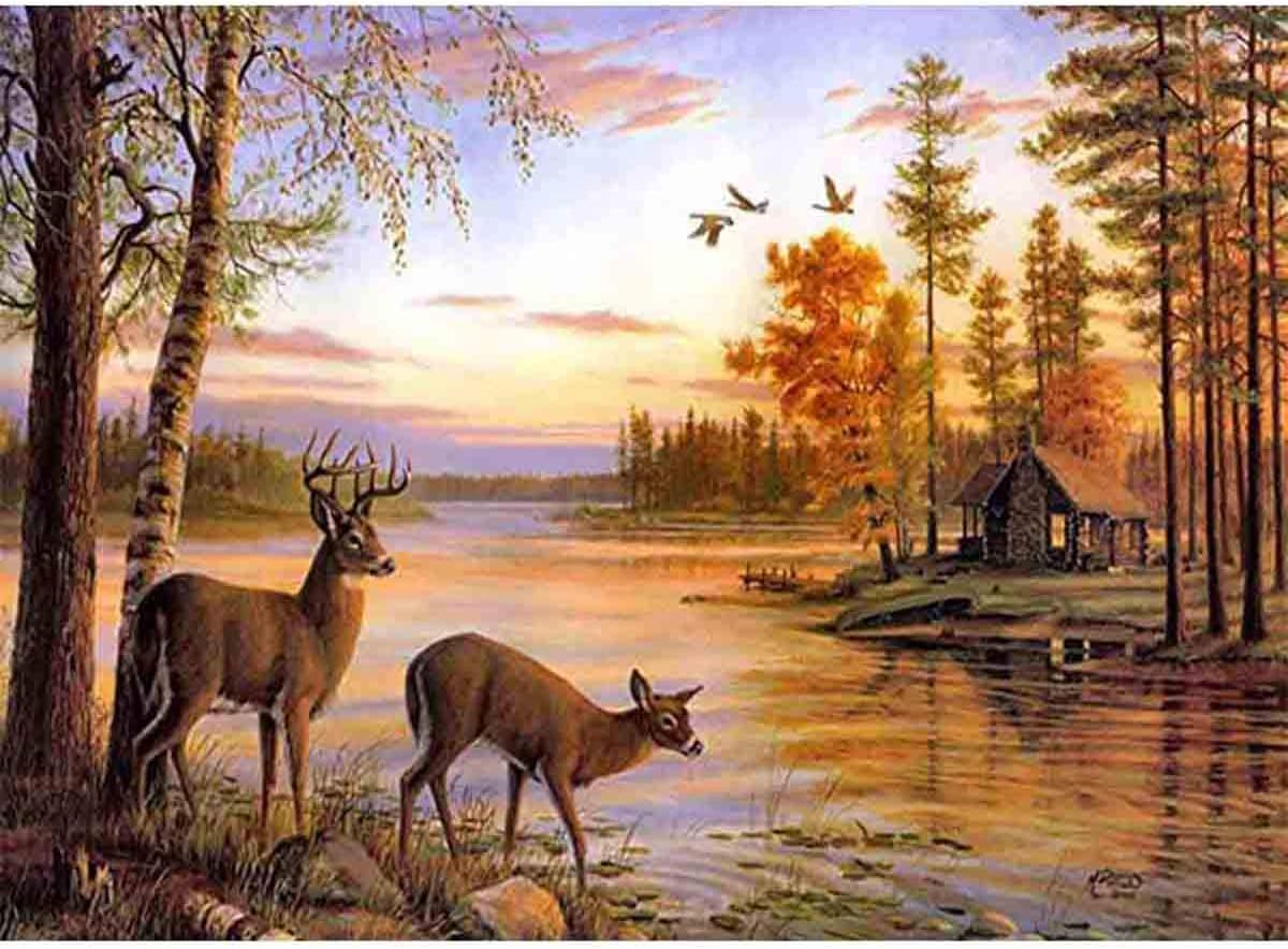 DIY 5D Deer Diamond Painting Kits, Casual Digital Painting