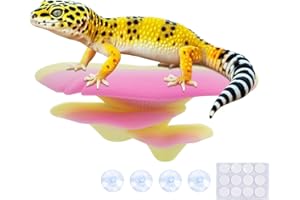 Westant Mushroom Decor for Reptile Tank, Fish Tank, Pet-Safe Bearded Dragon Tank Accessories, Realistic Terrarium Plants for Crested Geckos, Frogs (Rainbow Trio Cap, Randomly Shipped from 3 Styles)