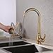 KES Brass Bar Sink Faucet with Pull Down Sprayer Head Modern Single Tall Large Commercial Pullout Kitchen Faucet Sprayer Pulldown High Arc Gooseneck Polished Gold Finish, L6933-4
