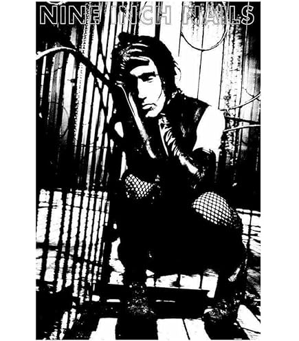 Amazon.com: Nine Inch Nails Poster The Fragile NIN: Prints