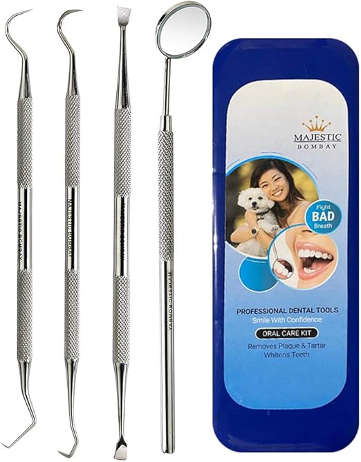 Dental Hygiene Tool Set Stainless Steel Dental Tooth Pick, Mouth