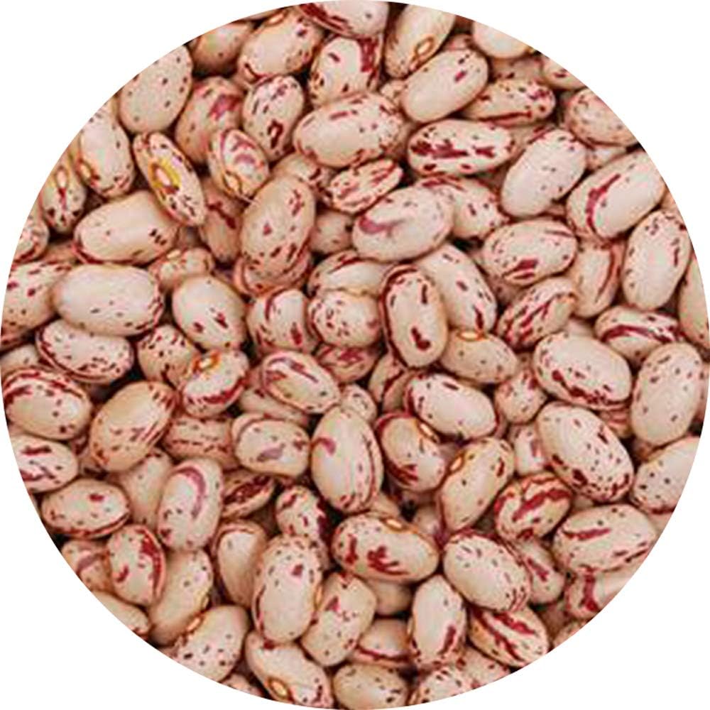 Glorious Inheriting Retailed Light Speckled Kidney Bean General Size with Net Bag of 500 Grams