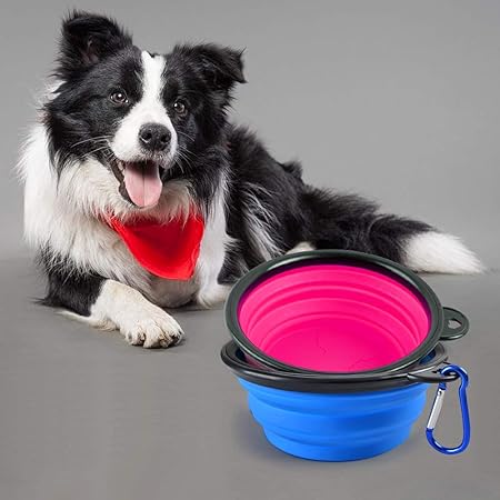 amazon portable dog bowl