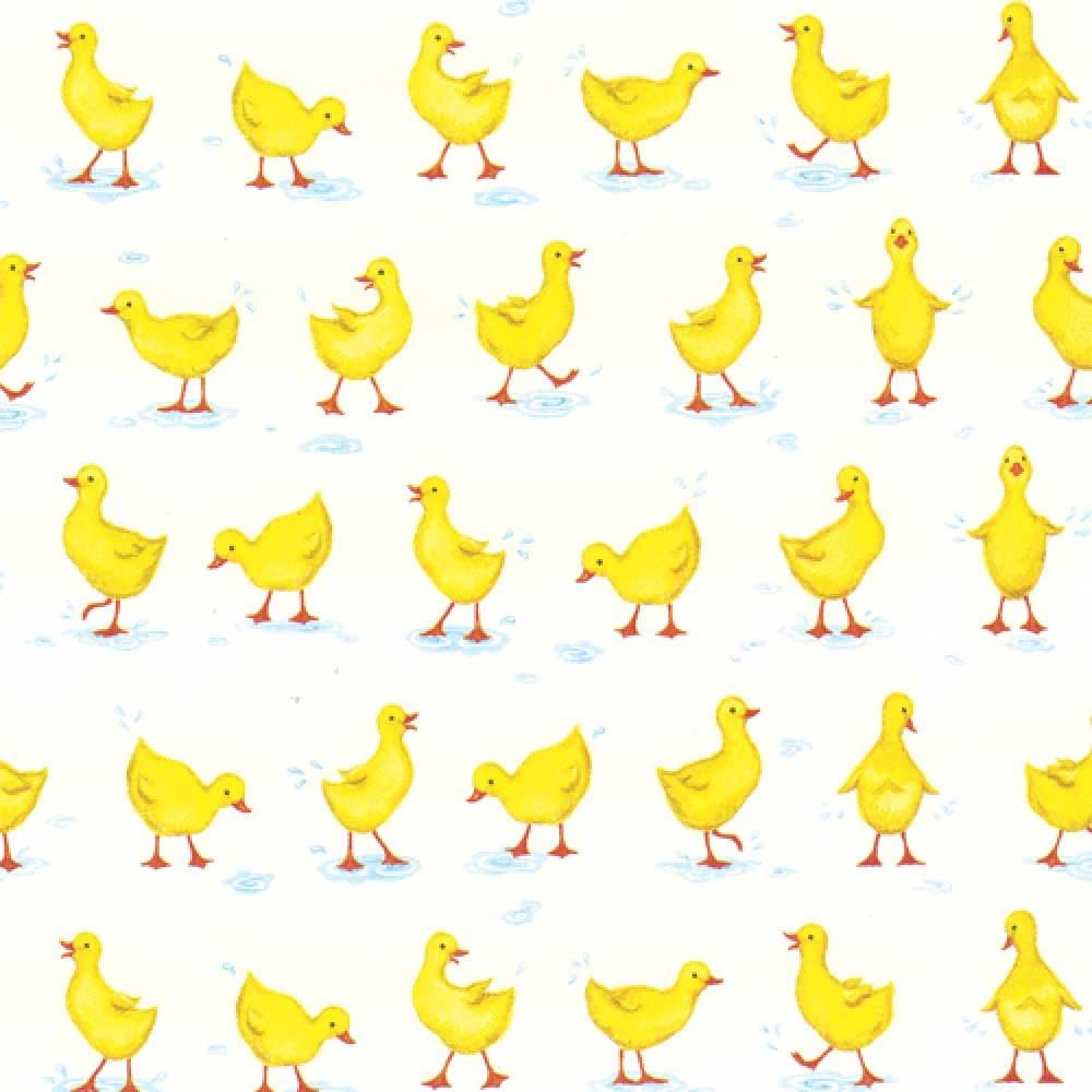 Caspari Ducks Continuous Gift Wrapping Paper Roll, 1.5Meter Amazon.co