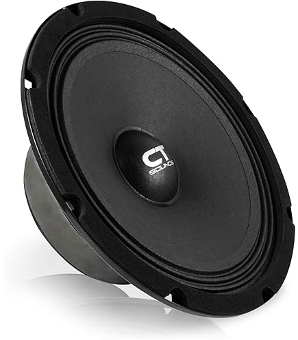 Amazon.com: Skar Audio FSX8-8 8