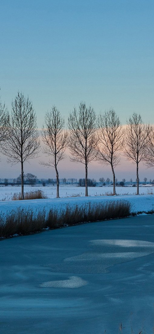 PeelitStickit, Beautiful Nature Wall Murals, ID-3228, vinyl