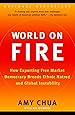 World on Fire: How Exporting Free Market Democracy Breeds Ethnic Hatred and Global Instability