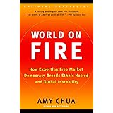 World on Fire: How Exporting Free Market Democracy Breeds Ethnic Hatred and Global Instability