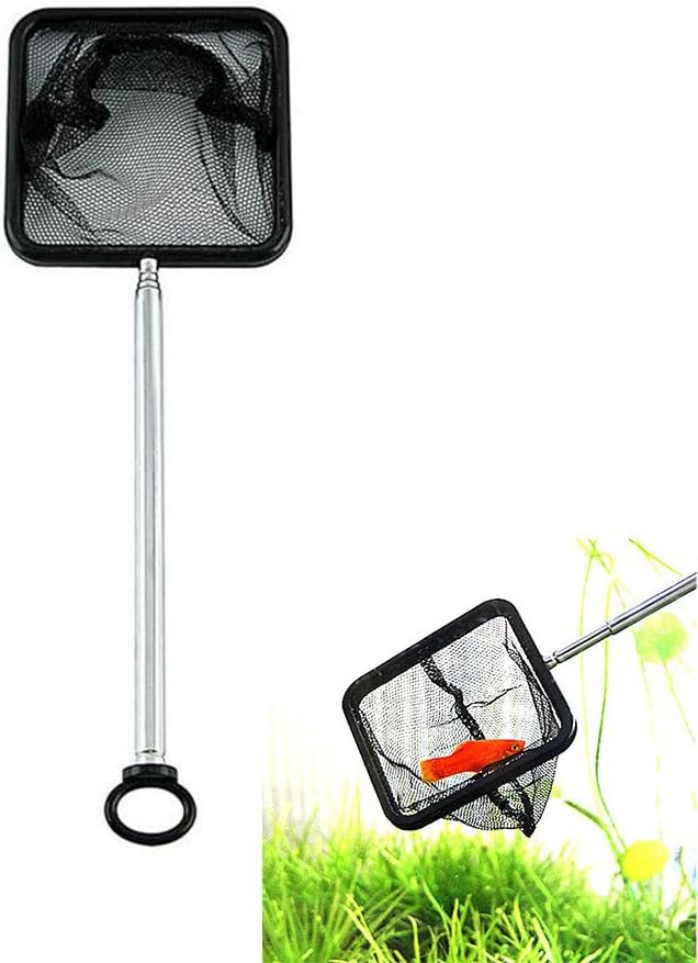 Black Square Retractable Stainless Handle Small Fishing Tank Net and Small Tropical Aquarium Shrimp Fishing Net