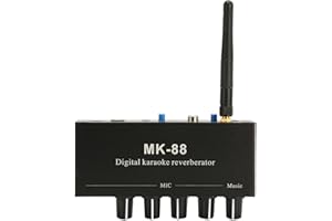 Wisoqu 6.5mm Karaoke Mixer, Dual Microphone Input Portable Digital Karaoke Reverberator with 5.0 and Aluminium Alloy Case, fo