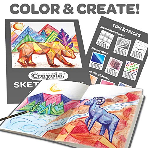 Download Crayola Coloring And Sketching Set 70pcs Sketch Book Gift For Kids 8 9 10 11 Pricepulse