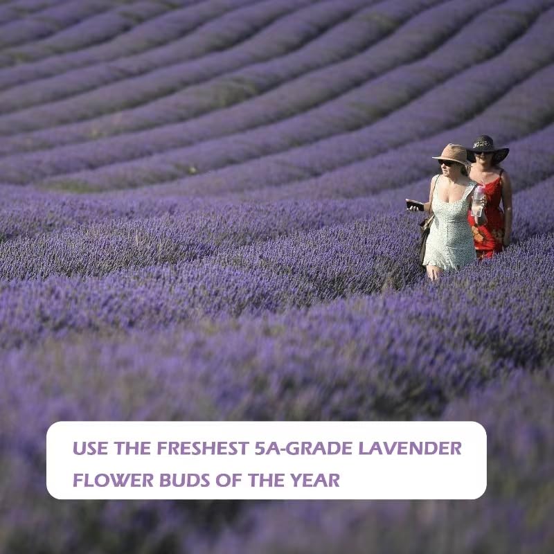 Haswer Lavender Sachets Bag for Drawers and Closets，Perfect for Cars, Gym Bags or Anyplace That Needs to Smell Better，Long-Lasting Fresh Scents，Pack of 5