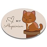 Magnet Me Up Anime I Love My Abyssinian Cute Cat