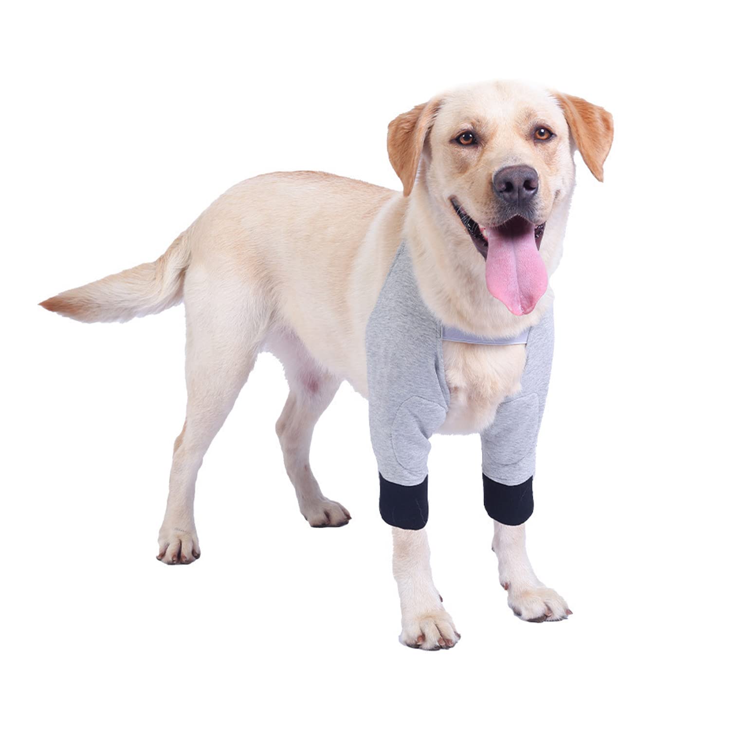 Blue Dream Island Dog Surgery Recovery Sleeve for Front Legs, Pet Prevent Licking Wound Elbow Brace Protector, Dog Recovery Suit for Sprain Arthritis_Gray(2XL)