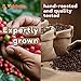 Rockbern KENYAN AA Coffee Beans Whole - Premium MT. KENYA AA Whole Bean Coffee. 100% Single Origin Arabica Coffee. Hand Roasted to Perfection for Your Enjoyment! (Medium Roast, 17.6 oz)
