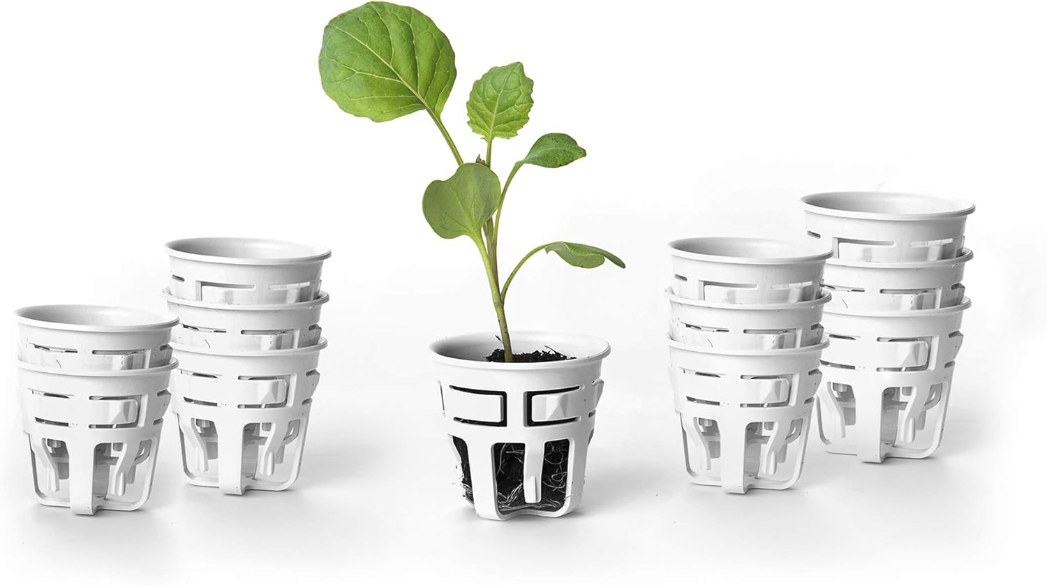 Lettuce Grow 12 Grow Cups for Your Farmstand Hydroponic