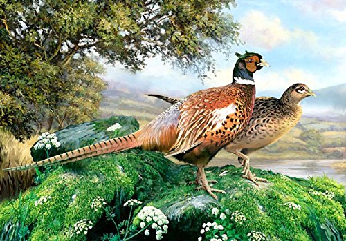 Pheasants Large Glass Worktop Protector 40X50Cm