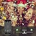 Brizled LED Christmas Lights, 200 LED 65ft Dimmable Mini String Lights, Bluetooth LED Lights Controlled by iOS & Android Devices, Ideal for Wedding, Bedroom, Holiday and Party Decorations, Cool White
