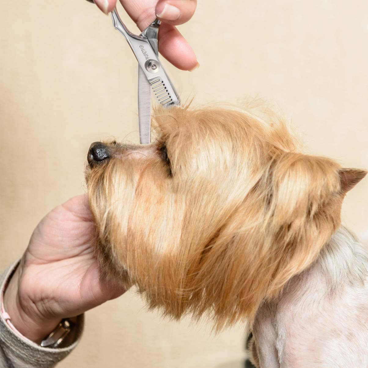 Dog Grooming Scissors Kit with Safety Round Tip Heavy Duty 4 CR