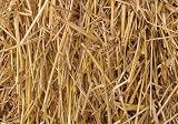 Thunder Acres 4 Pounds 100 Percent Natural Wheat Straw (4 lbs.)